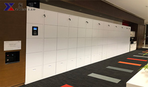 辦公室儲(chǔ)物柜,辦公室木柜